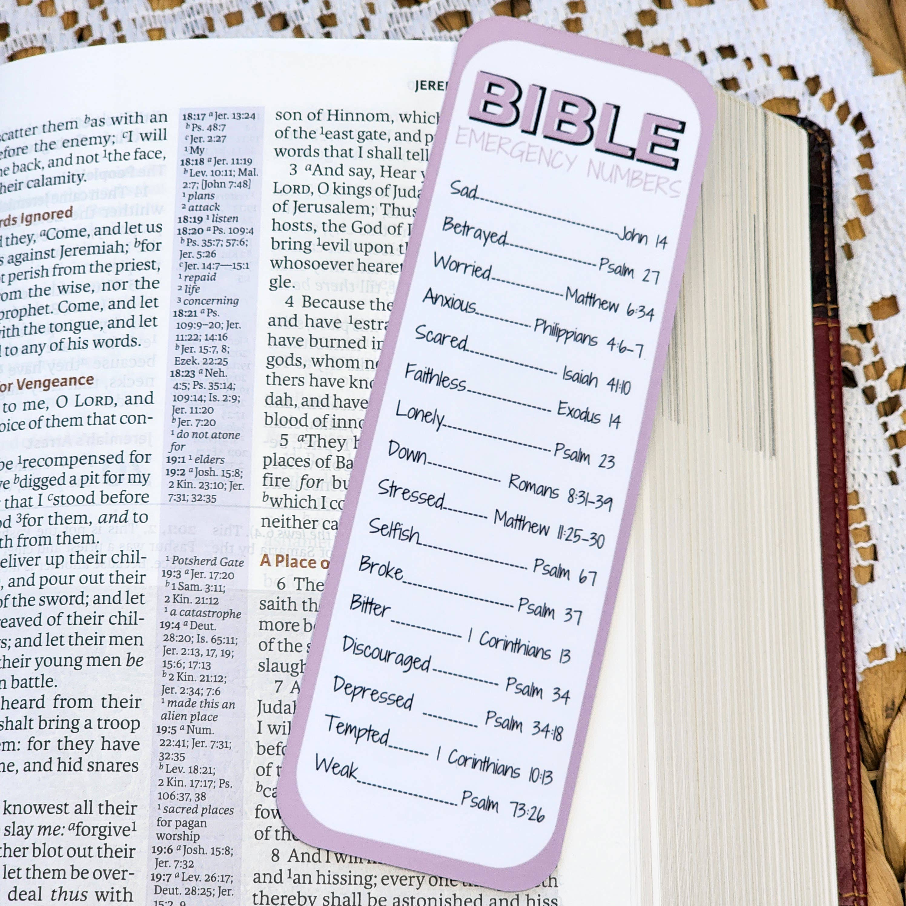 Bookmark - Blush Bible Numbers
