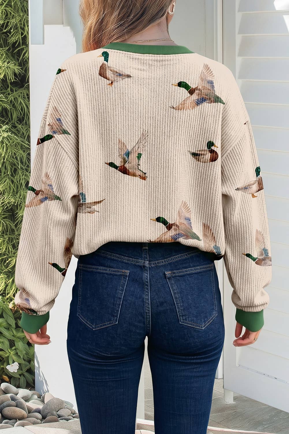 Mallard Duck Print Ribbed Casual Pullover S-4X: Beige / XL