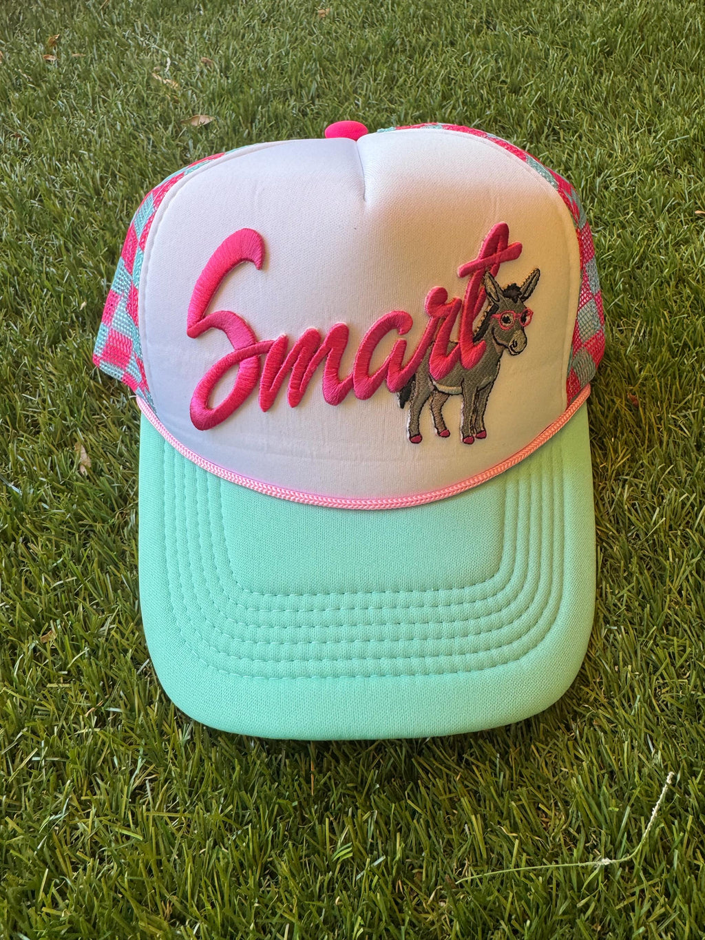 Smart “donkey”