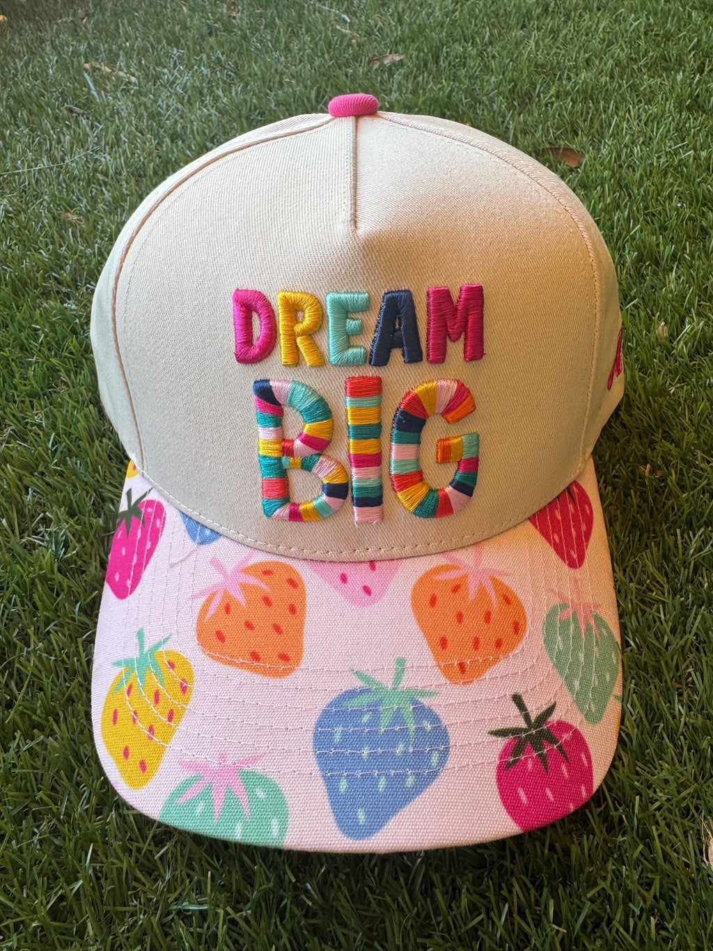 Dream Big embroidered hat